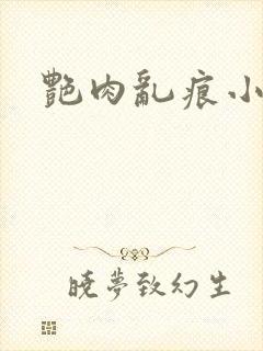 艳肉乱痕小说