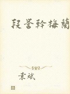 段誉干梅兰竹菊