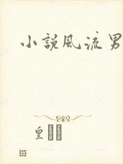 小说风流男护理