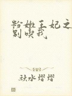 粉嫩王妃之殿下别吃我