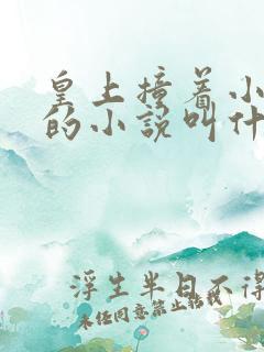 皇上撞着小公主的小说叫什么