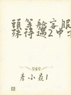 头等舱客服的特殊待遇2中字