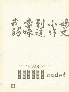 我尝到小妈苏蕊的味道作文谁写的