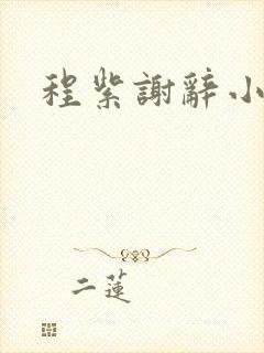 程紫谢辞小说