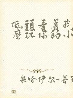 低头看着我是怎么玩你的小说