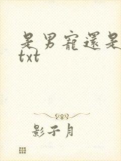 是男宠还是禁脔txt