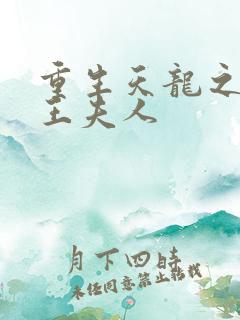 重生天龙之推倒王夫人