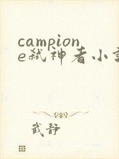 campione弑神者小说