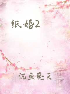 纸婚2