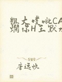 粗大噗呲CAO烂你H王默水王子