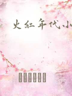 火红年代小说