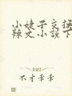 小婕子交换系列辣文小说下载