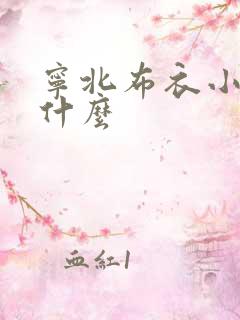 宁北布衣小说叫什么