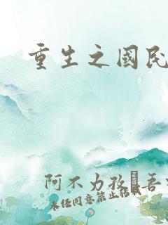 重生之国民老公