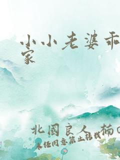 小小老婆乖乖回家