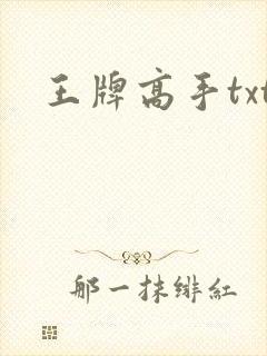 王牌高手txt