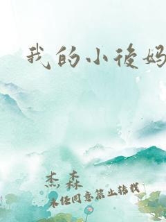 我的小后妈小说