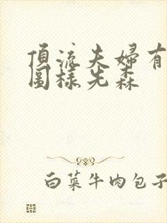 顶流夫妇有点甜图样先森