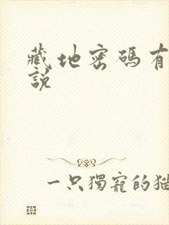 藏地密码有声小说