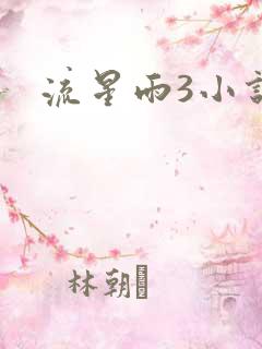 流星雨3小说