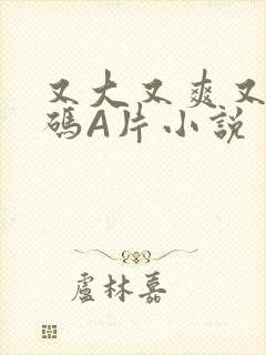 又大又爽又黄无码A片小说