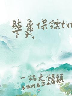 贴身保镖txt下载