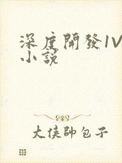 深度开发1V3小说