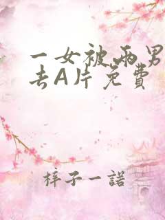 一女被两男桶进去A片免费