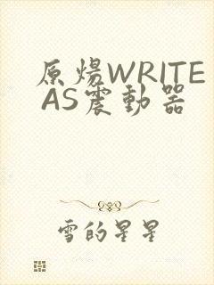 原炀WRITE AS震动器