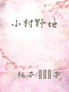 小村野地