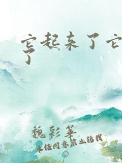 它起来了它想你了