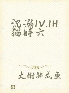 沉溺1V.1H猫时六