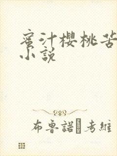 蜜汁樱桃苦咖啡小说