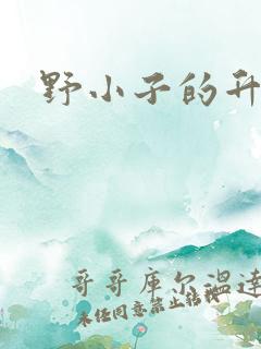 野小子的升官路