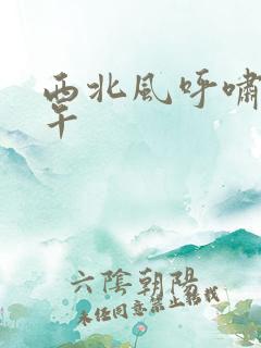 西北风呼啸的中午