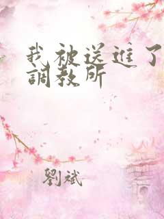 我被送进了私奴调教所