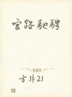 官路驰骋