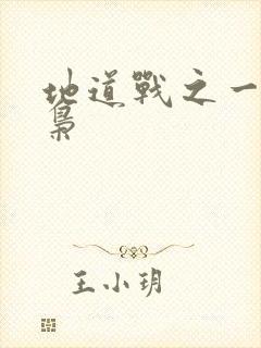 地道战之一代功枭