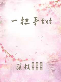 一把手txt