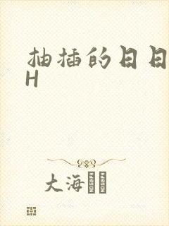 抽插的日日液液H