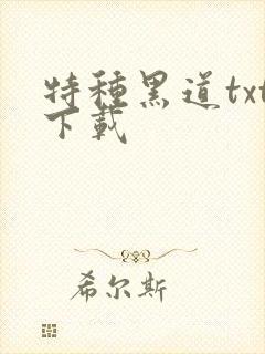 特种黑道txt下载