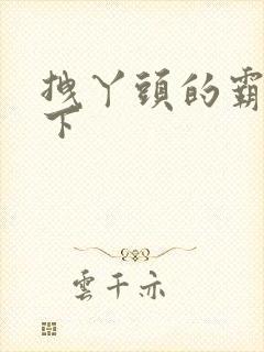 拽丫头的霸道殿下