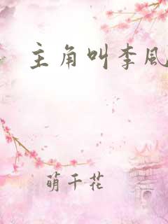 主角叫李风起
