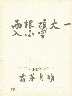 两根硕大一起挤入小雪