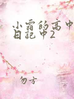 小霜的高中成长日记中2