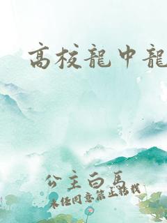 高校龙中龙