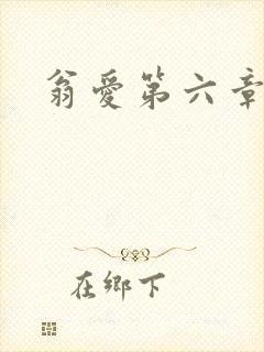 翁爱第六章