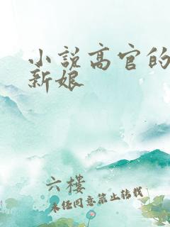 小说高官的暗夜新娘