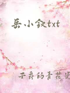 岳小钗txt
