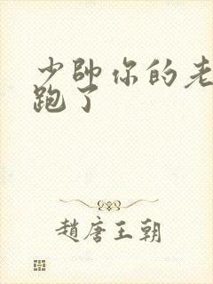 少帅你的老婆又跑了